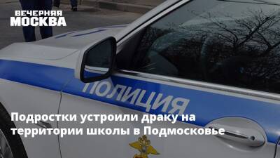 Подростки устроили массовую драку на территории школы в Подмосковье - vm.ru - Московская обл. - р-н Раменский - Московская область