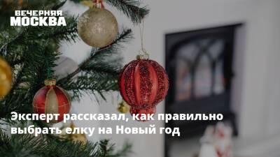 Михаил Иванов - Эксперт рассказал, как правильно выбрать елку на Новый год - vm.ru - Москва