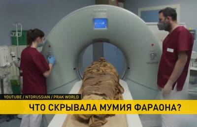 Ученые изучили мумию древнеегипетского фараона при помощи КТ. Вот что они увидели! - ont.by - Белоруссия