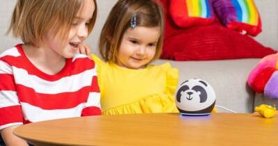 Вредный совет от ИИ. Alexa велела 10-летней девочке засунуть монетку в розетку - focus.ua - Украина