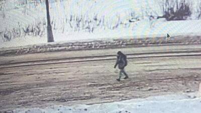 Замерзший насмерть в Подмосковье ученик спецшколы ошибся автобусом - iz.ru - Израиль - Московская обл.