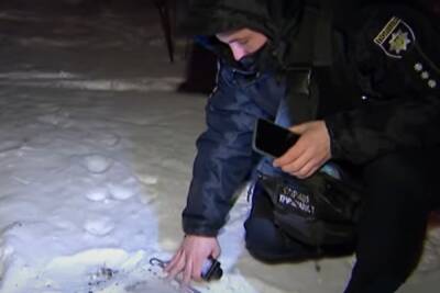 В Киеве мужчина выбросил из окна многоэтажки щенков: "Они нам не нужны" - politeka.net - Украина - Киев - Киевская обл. - Киев