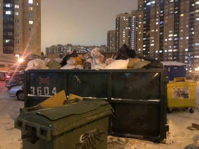 Александр Беглов - Петербуржцам испортили «новогоднее настроение» горы мусора - neva.today - Санкт-Петербург