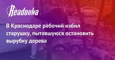 В Краснодаре рабочий избил старушку, пытавшуюся остановить вырубку дерева - readovka.ru - Краснодар