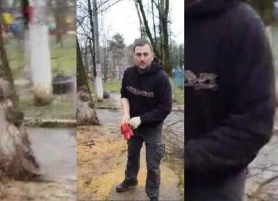 В Краснодаре арестовали рабочего, избившего пенсионерку во время опилки деревьев - bloknot.ru - Краснодар - Краснодар