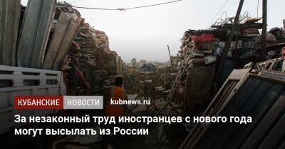 Владимир Путин - Иностранцев за незаконный труд с нового года могут высылать из России - kubnews.ru - Россия