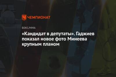 Магомед Исмаилов - Владимир Минеев - Камил Гаджиев - «Кандидат в депутаты». Гаджиев показал новое фото Минеева крупным планом - championat.com - Россия