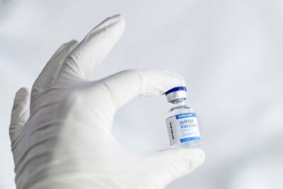 Количество заболевших ковидом на Кубани за сутки вновь увеличилось - kuban.mk.ru - Краснодарский край - Славянск - Новороссийск