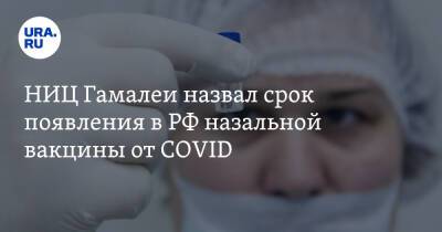 Владимир Путин - НИЦ Гамалеи назвал срок появления в РФ назальной вакцины от COVID - ura.news - Россия