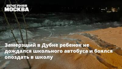 Замерзший в Дубне ребенок не дождался школьного автобуса и боялся опоздать в школу - vm.ru