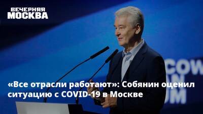 Сергей Собянин - «Все отрасли работают»: Собянин оценил ситуацию по COVID-19 в Москве - vm.ru - Москва - Москва