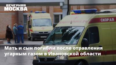 Мать и сын погибли после отравления угарным газом в Ивановской области - vm.ru - Москва - Ивановская обл.