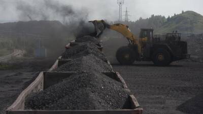 На Украину прибыло 88 тысяч тонн угля из Колумбии - russian.rt.com - Украина - Австралия - Колумбия - Южный