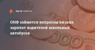 Михаил Кузнецов - ОНФ займется вопросом низких зарплат водителей школьных автобусов - ren.tv - Россия