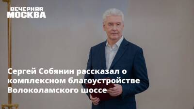 Сергей Собянин - Сергей Собянин рассказал о комплексном благоустройстве Волоколамского шоссе - vm.ru - Москва - Благоустройство