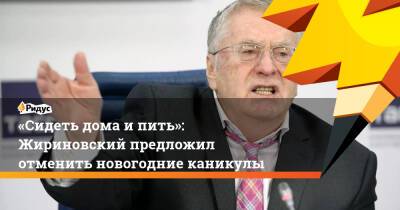 Владимир Жириновский - «Сидеть дома ипить»: Жириновский предложил отменить новогодние каникулы - ridus.ru - Россия