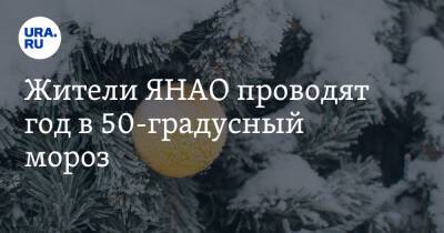 Жители ЯНАО проводят год в 50-градусный мороз - ura.news - окр. Янао