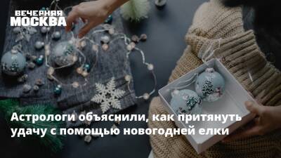 Астрологи рассказали, как украсить новогоднюю ель, чтобы 2022 год сложился удачно - vm.ru