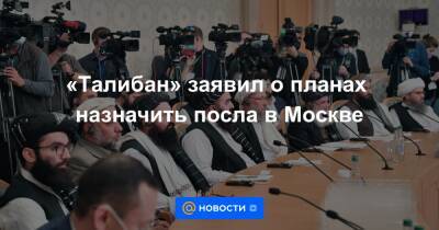 Владимир Путин - «Талибан» заявил о планах назначить посла в Москве - news.mail.ru - Москва - Россия - США - Афганистан