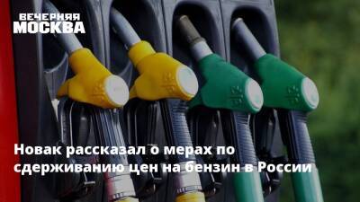 Александр Новак - Михаил Мишустин - Новак рассказал о мерах правительства для сдерживания цен на бензин - vm.ru - Россия