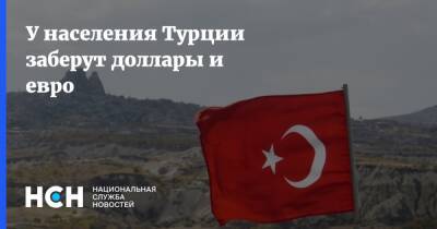 Реджеп Тайип Эрдоган - У населения Турции заберут доллары и евро - nsn.fm - Турция