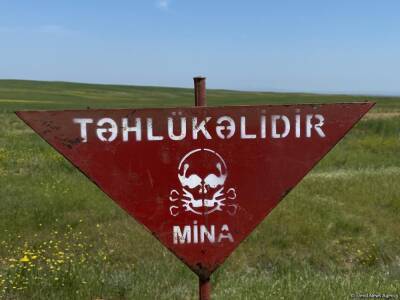 В 2021 году территория площадью более 13 тысяч гектаров очищена от мин и неразорвавшихся боеприпасов - минобороны Азербайджана - trend.az - Азербайджан