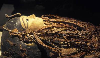 35 лет, 168 см, отличные зубы, обрезан: мумия фараона Аменхотепа I прошла МРТ - newizv.ru - Египет - Каир