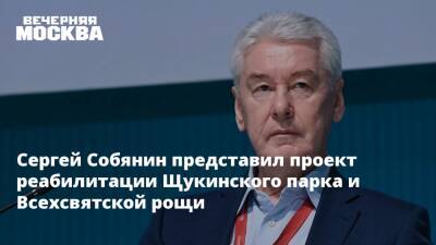 Сергей Собянин - Сергей Собянин представил проект реабилитации Щукинского парка и Всехсвятской рощи - vm.ru - Москва - Благоустройство - Экология