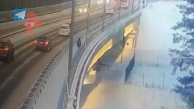 Появились кадры маршрута погибшего в Московской области мальчика - iz.ru - Израиль - Московская обл.