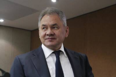 Сергей Шойгу - Шойгу поблагодарил миротворцев, «успокоивших ситуацию» в Нагорном Карабахе - mk.ru - Сирия