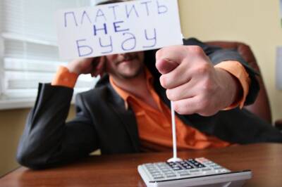 Фирма из Гатчины заплатила порядка 54 млн рублей налогов, появившихся еще в 2018 году - ivbg.ru - Украина - Ленинградская обл. - Ленобласть