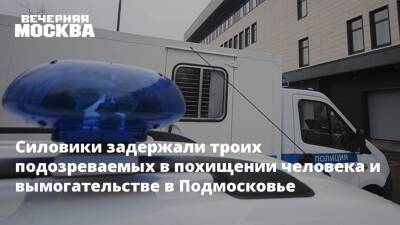 Ирина Волк - Силовики задержали троих подозреваемых в похищении человека и вымогательстве в Подмосковье - vm.ru - Москва - Московская обл. - Москва