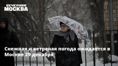 Роман Вильфанд - Синоптики рассказали москвичам о погоде 29 декабря - vm.ru - Москва - Россия - Московская обл. - Москва