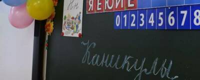 Сергей Кравцов - Яна Лантратова - Депутат ГД Лантратова предложила продлить каникулы в школах до 16 января из-за ковида - runews24.ru