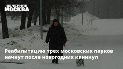 Реабилитацию трех московских парков начнут после новогодних каникул - vm.ru - Москва - Россия - Москва