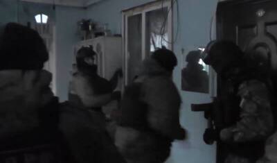 Полиция в Ленобласти задержала сотни цыган - newizv.ru - Ленинградская обл. - Всеволожск - район Гатчинский