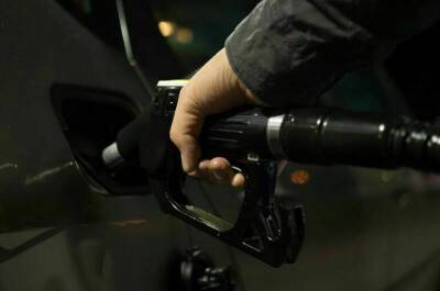 Николай Шульгинов - Компенсации нефтяникам рамках демпферного механизма планируют увеличить - pnp.ru - Россия