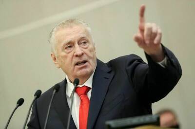 Владимир Путин - Владимир Жириновский - Жириновский назвал наиболее важные новеллы законопроекта о гражданстве - pnp.ru - Россия