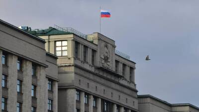 Светлана Бессараб - Ирина Волынец - В Госдуме прокомментировали предложение использовать маткапитал на дорогое лечение ребёнка - russian.rt.com - респ. Татарстан