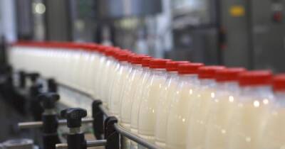Украинские заводы по производству молока и сыра могут остановиться из-за цен на газ - focus.ua - Украина