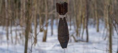 Снаряды времен Великой Отечественной войны нашли в карьере под Петрозаводском - stolicaonego.ru - Петрозаводск