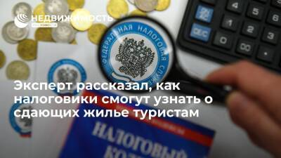 Эксперт: налоговики РФ смогут получать данные о сдающих жилье туристам от сервисов аренды - realty.ria.ru - Москва - Россия