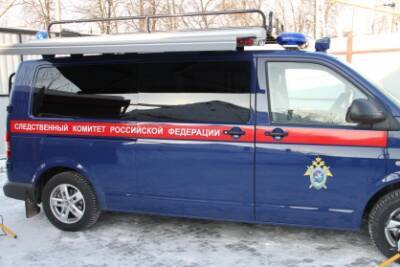 Двое подростков из Ряжска предстанут перед судом за ограбление прохожего - 7info.ru - Ряжск