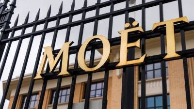 Блогер - Звездные гости Moët & Chandon мерзли за оградой в ожидании приглашения - 5-tv.ru - Москва