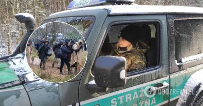 Мигранты пытались прорваться из Беларуси в Польшу – последние новости о ситуации на границе - obozrevatel.com - Сирия - Белоруссия - Ирак - Польша