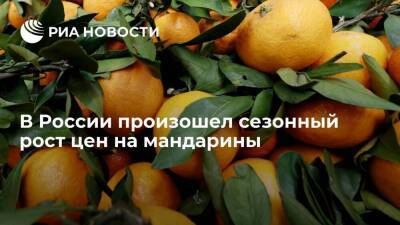 Дмитрий Востриков - Эксперты рассказали о сезонном росте цен на мандарины в России - smartmoney.one - Москва - Россия - Турция - Апсны - Юар - Марокко