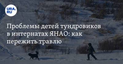 Проблемы детей тундровиков в интернатах ЯНАО: как пережить травлю - ura.news - окр. Янао