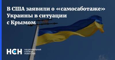 Ариэль Коэн - В США заявили о «самосаботаже» Украины в ситуации с Крымом - nsn.fm - США - Украина - Крым