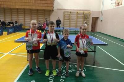 Серпуховские теннисисты победили на ежегодном Первенстве - serp.mk.ru