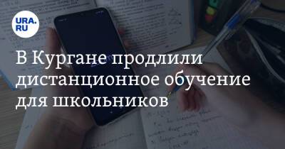 В Кургане продлили дистанционное обучение для школьников - ura.news - Курган - Шадринск